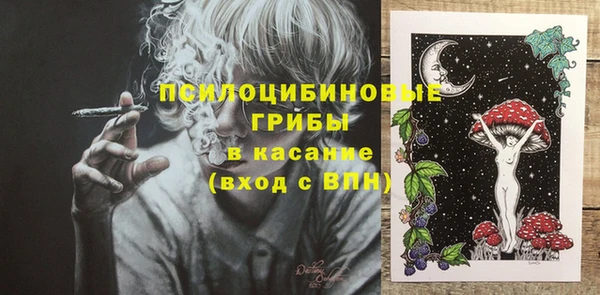 Альфа ПВП Ладушкин